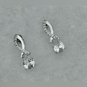 Silver Drop Earrings